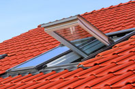 Sorbie roof window