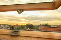 rated Sorbie roof window companies